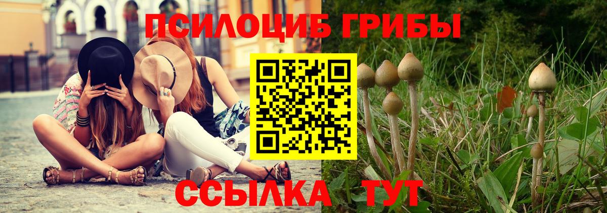 Псилоцибиновые грибы Magic Shrooms Борисоглебск