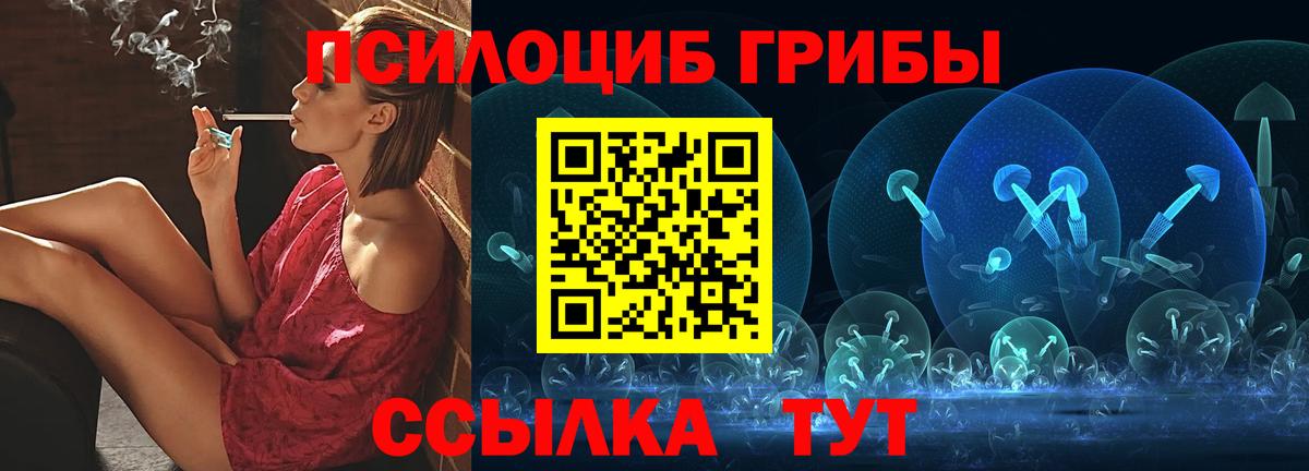 Борисоглебск  Галлюциногенные грибы Psilocybine cubensis  Вход с VPN 