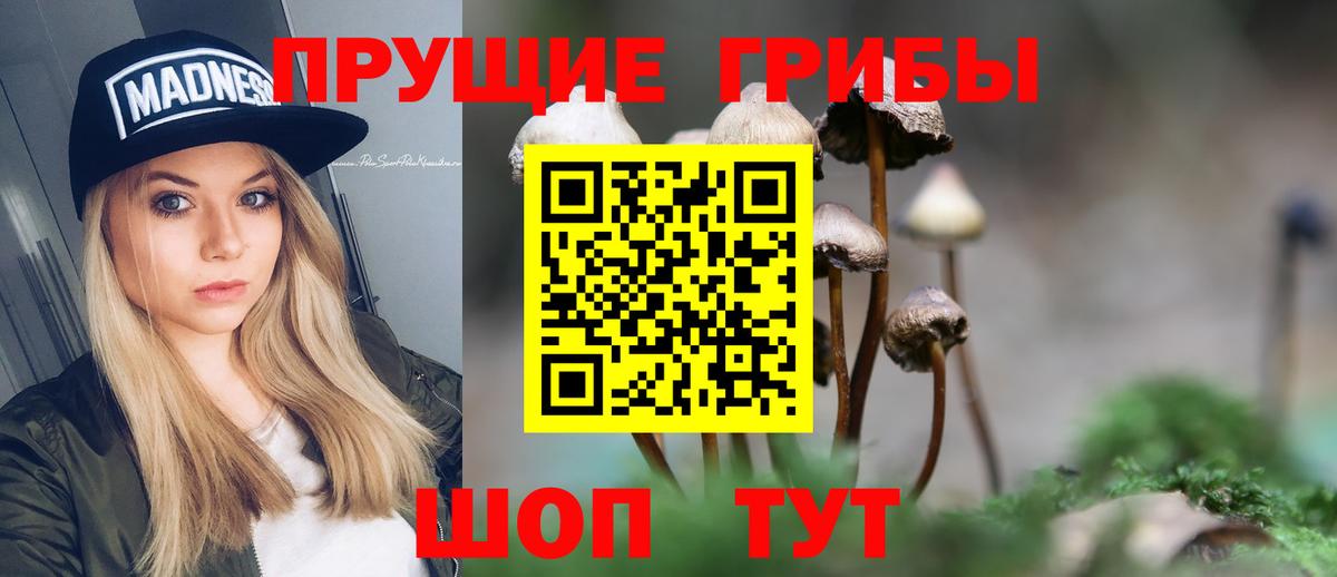Галлюциногенные грибы Борисоглебск